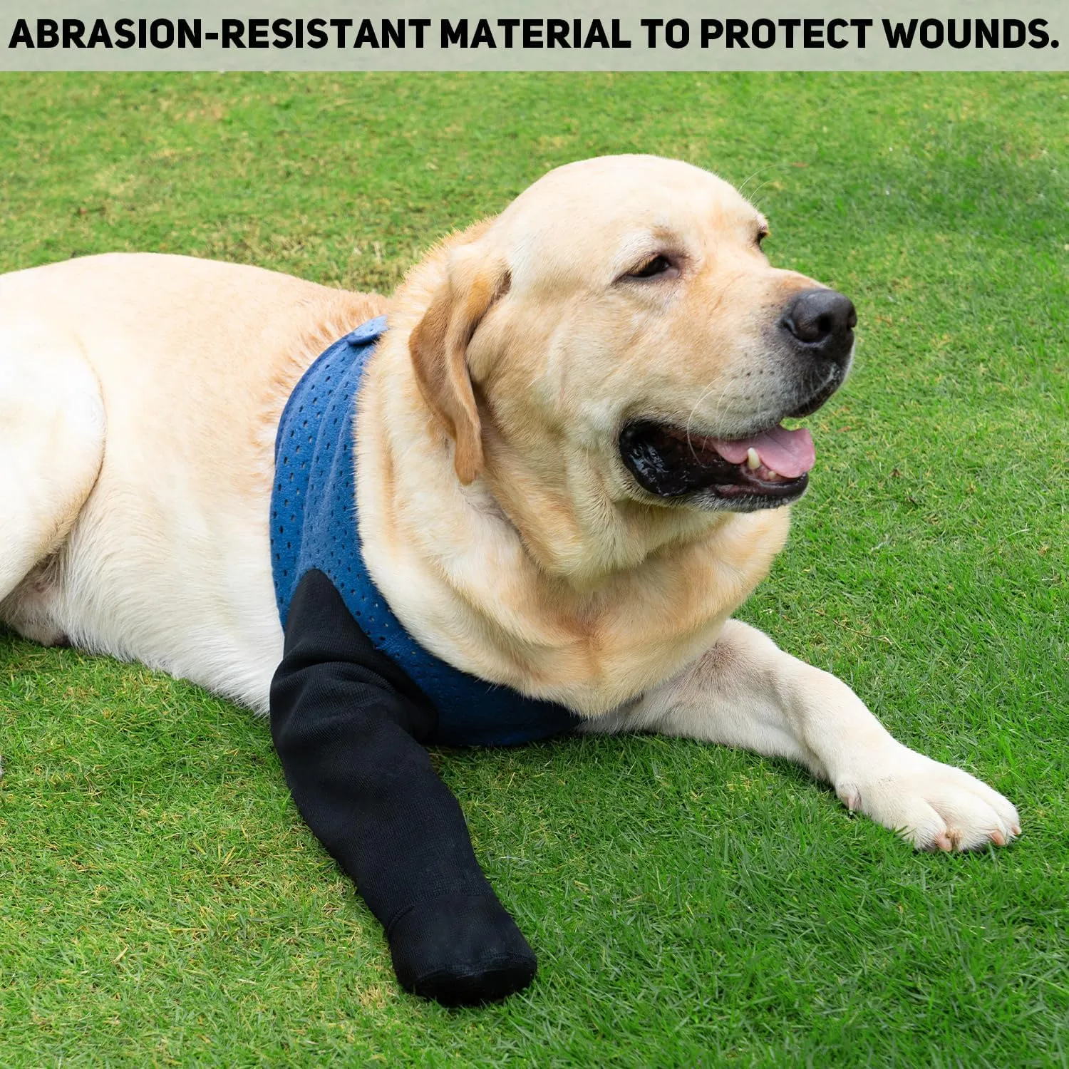 COODEO Dog Socks to Prevent Licking Paws, Dog Healing Boots & Paw Protectors with Non-Slip Bottoms to Protect Wounds, Waterproof Sleeve Dog Shoes for Licking (M_Left)