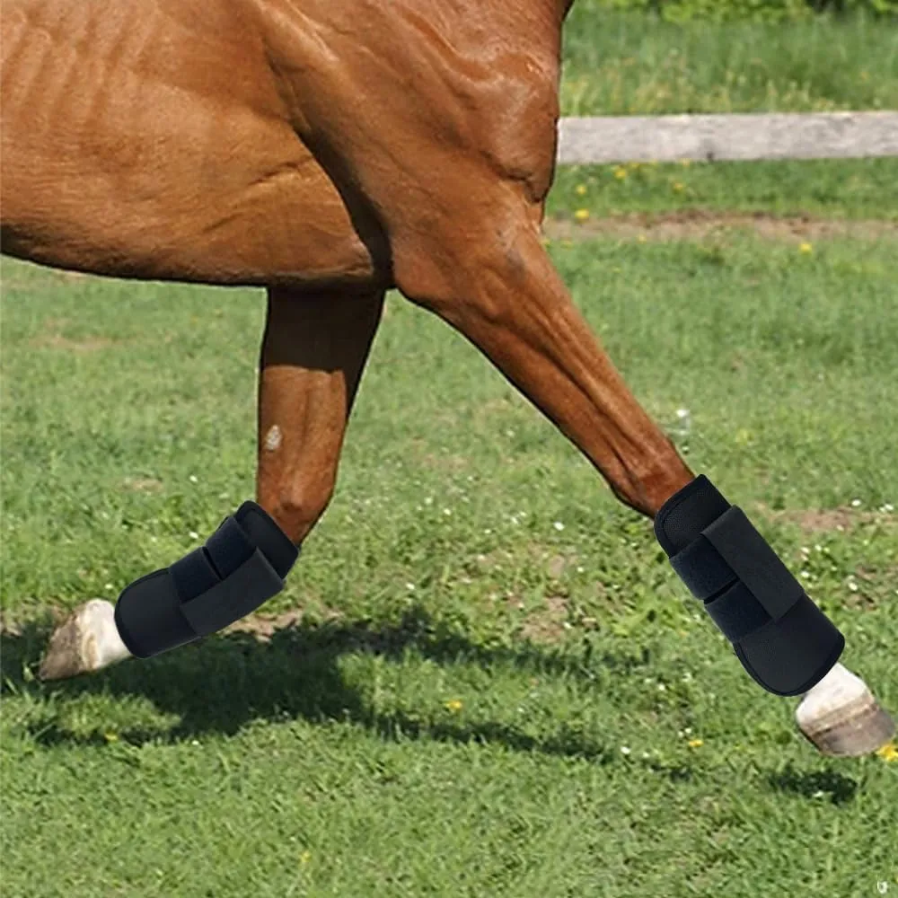 Horse Tendon Boots